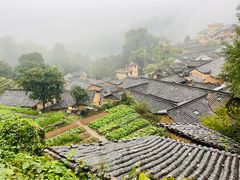 -杨家堂村