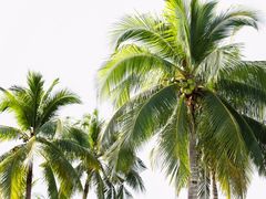 -三亚南山文化旅游区