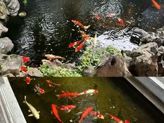 -鲤院·新中式美学·庭院餐厅(夫子庙店)