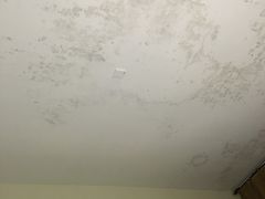 -黄山阿拉酒店(黄山风景区换乘中心店)