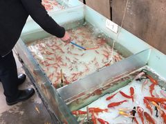 -秦美花卉(天朗·莱茵小城2期店)