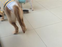 -怪兽屋·羊驼·猫咖·狗咖(俊华广场店)