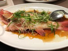 蒸东星斑-協成海鮮火鍋(老店)