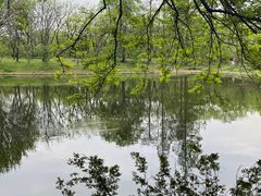 -上海共青森林公园