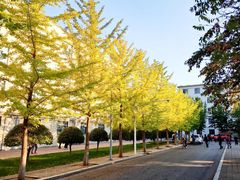 -东北大学(南湖校区)