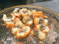-三宝泥炉·活烤鳗鱼(七宝宝龙店)