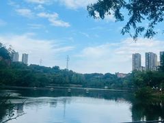 -重庆彩云湖湿地公园