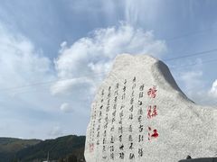 -望天鹅景区