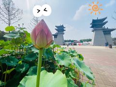-洛阳市隋唐城遗址植物园