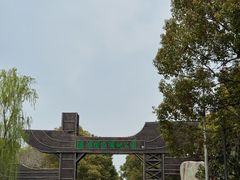 -溱湖国家湿地公园