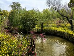 -南汇桃花村