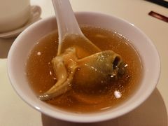 滋补炖响螺汤-利苑酒家(华熙国际店)