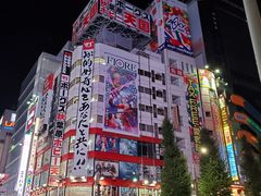 -秋叶原电器街