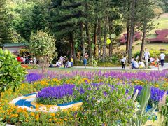 -深圳仙湖植物园