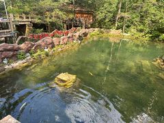 -本溪汤沟绿石谷森林公园
