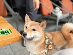 -Moka Bros 摩卡站(嘉华店)