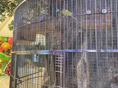 -东四民芳餐厅(世茂工三店)