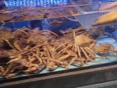 -阿伟海鲜楼·福建菜(延寿店)