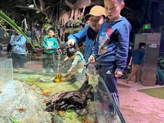 -正佳雨林生态植物园
