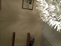 -滚猫咖啡·猫咖·猫友好撸猫(未来城店)