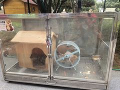 -青岛鑫江温德姆酒店
