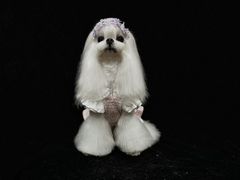 -鑫艺宠物美容培训学校