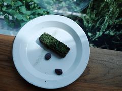 苔藓-知亘茶食
