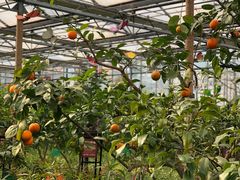 -南宫五洲植物乐园