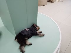 -怪兽屋·羊驼·猫咖·狗咖(俊华广场店)