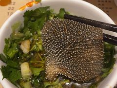 清油毛肚-五里关火锅(牛市口店)