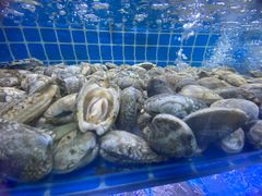 -湘里乡亲甲王二老店