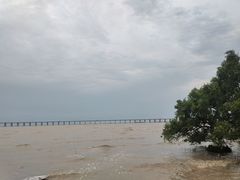 -宝安西湾红树林湿地公园