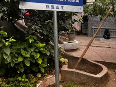 -桃源山庄·水蜜桃采摘·柴火鸡·烧烤团建(龙泉山店)