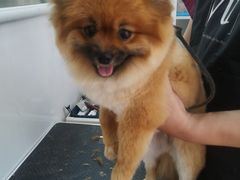 -北京恒爱动物医院(清景园分院)