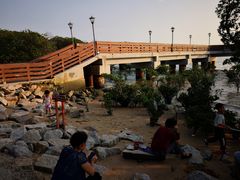 -宝安西湾红树林湿地公园