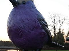 -养云安缦吧THE BAR