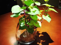 -车之谷·汽车文化主题餐厅(汽开店)