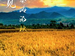 -秦岭风景区