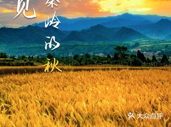 西安周边|秦岭寻秋一日路线|便是人间好时节