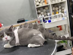 -1013 PET SHOP 宠物商店(近铁城市广场店)