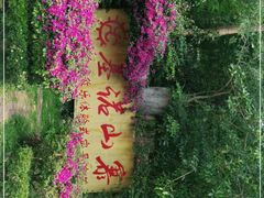 -西双版纳基诺山寨