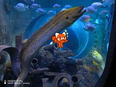 -成都浩海立方海洋公园