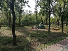 -东郊湿地公园