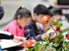 -西清公园