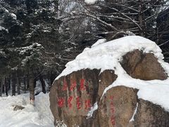 -横道河子东北虎林园