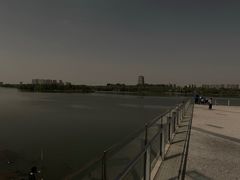 -灞河西岸滨河公园