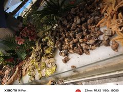 -一方渔歌蒸汽海鲜自助(文化路万达广场店)