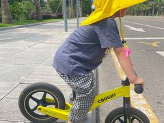 -枫香湖儿童公园