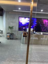 -ANGELHAND