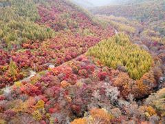-本溪老边沟风景区